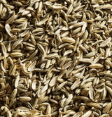 Fennel Seed